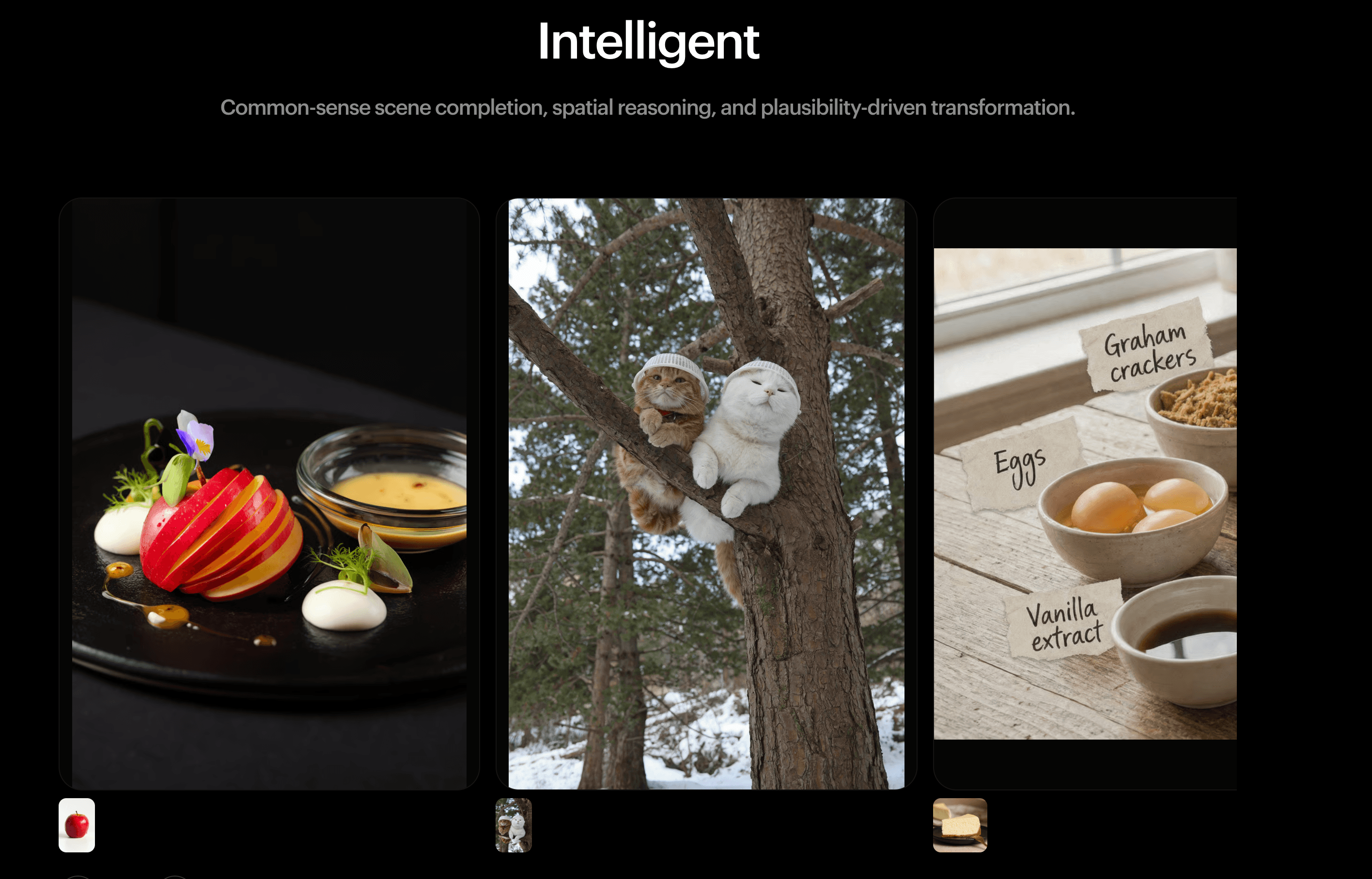 Dark-Horse Image Model Praised by Nano Banana Tech Lead